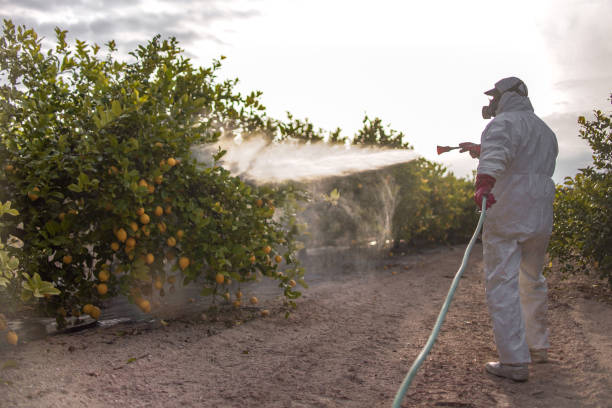 Alma, NE Pest Control Company